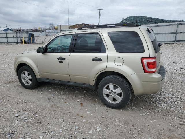 2010 Ford Escape XLT