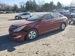 Salvage cars for sale at Madisonville, TN auction: 2012 Hyundai Sonata Hybrid