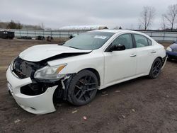 Nissan Maxima S salvage cars for sale: 2009 Nissan Maxima S