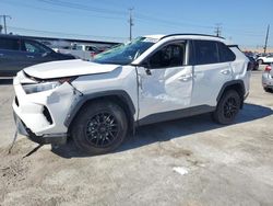 Salvage cars for sale at auction: 2019 Toyota Rav4 XLE