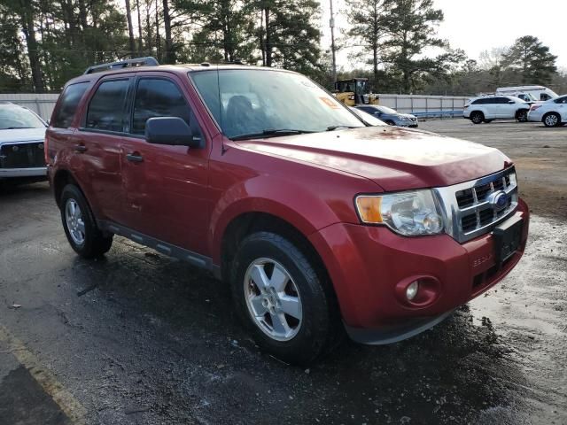 2012 Ford Escape XLT