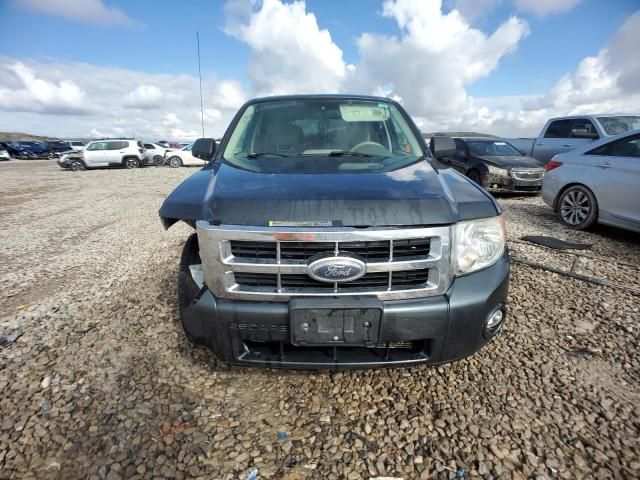 2008 Ford Escape XLT