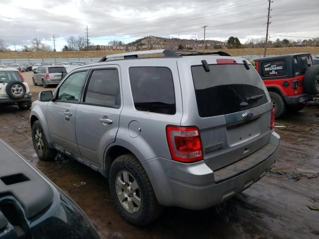 2011 Ford Escape Limited