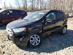 Salvage cars for sale from Copart Waldorf, MD: 2019 Ford Ecosport SE