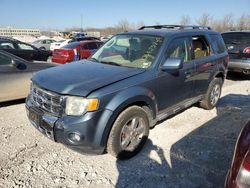 Salvage cars for sale at Bridgeton, MO auction: 2010 Ford Escape Limited
