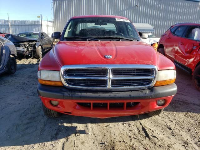 2004 Dodge Dakota Quad Sport