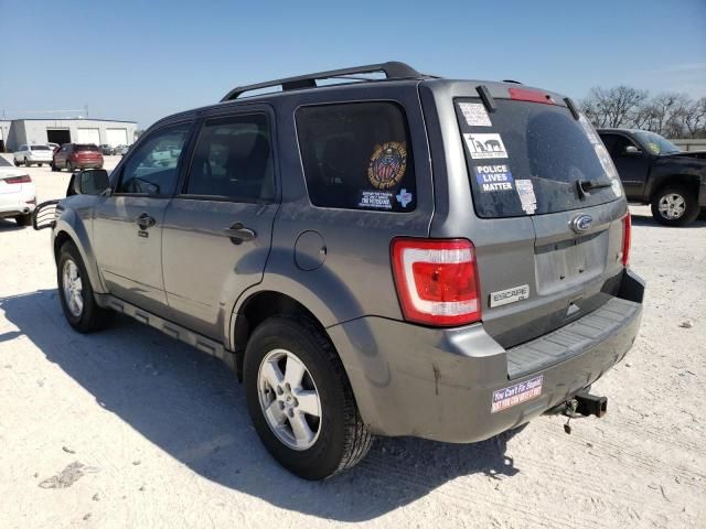 2011 Ford Escape XLT