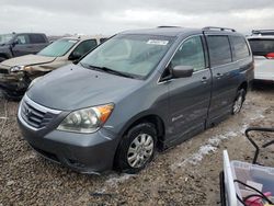 Honda salvage cars for sale: 2010 Honda Odyssey EX