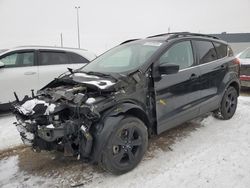 Salvage cars for sale from Copart Nisku, AB: 2013 Ford Escape SE