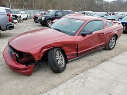 Ford salvage cars for sale: 2005 Ford Mustang