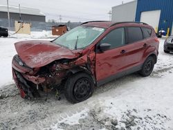 Salvage cars for sale at Elmsdale, NS auction: 2016 Ford Escape S