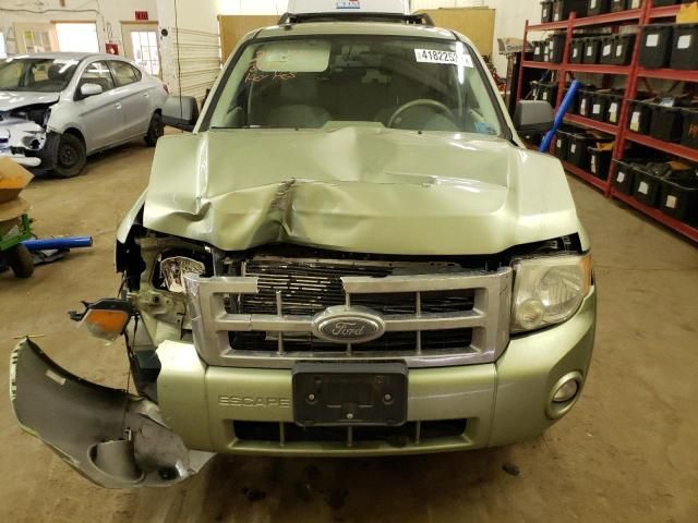 2008 Ford Escape XLT