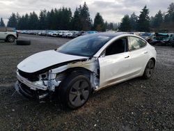 Salvage cars for sale from Copart Graham, WA: 2023 Tesla Model 3