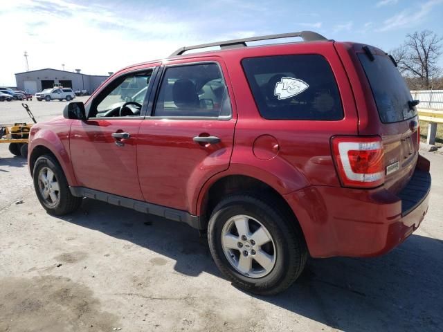 2011 Ford Escape XLT