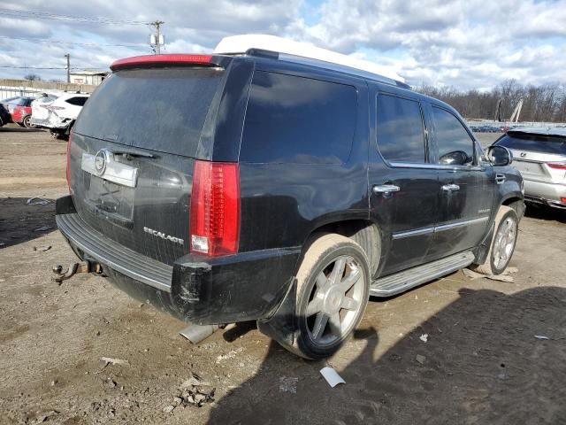 2011 Cadillac Escalade Luxury