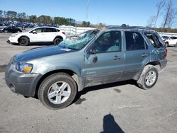 Ford Escape HEV Vehiculos salvage en venta: 2006 Ford Escape HEV