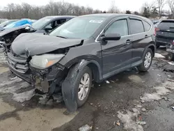 Honda salvage cars for sale: 2014 Honda CR-V EX