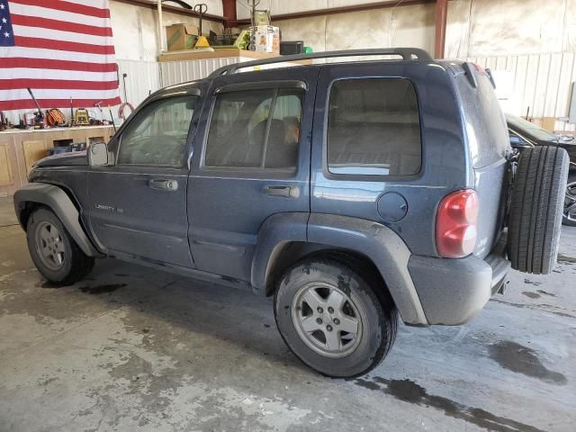 2003 Jeep Liberty Limited