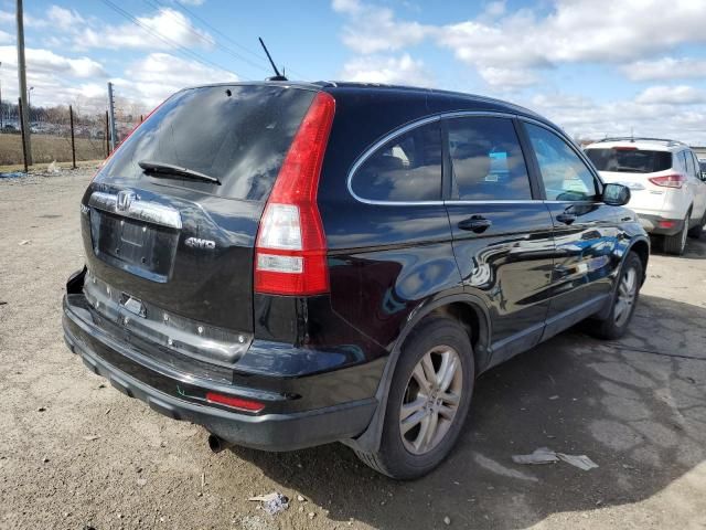 2010 Honda CR-V EXL