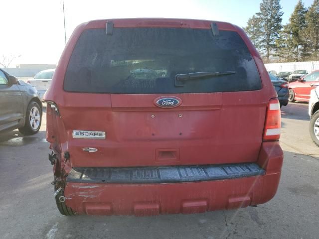 2010 Ford Escape XLS