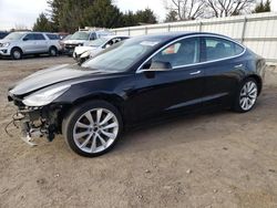 2020 Tesla Model 3 for sale in Finksburg, MD