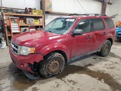 Salvage cars for sale at Nisku, AB auction: 2011 Ford Escape XLT