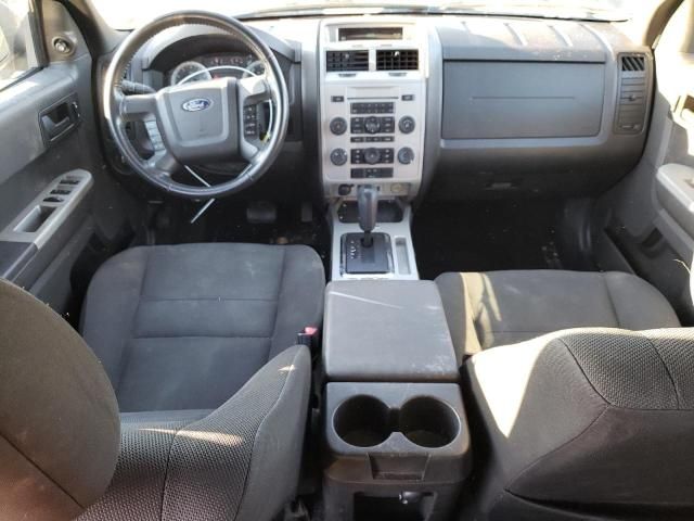 2009 Ford Escape XLT