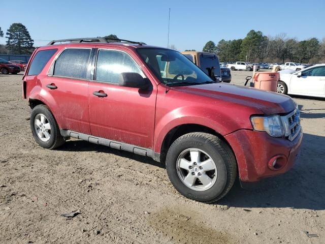 2009 Ford Escape XLT