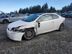 Scion salvage cars for sale: 2005 Scion TC