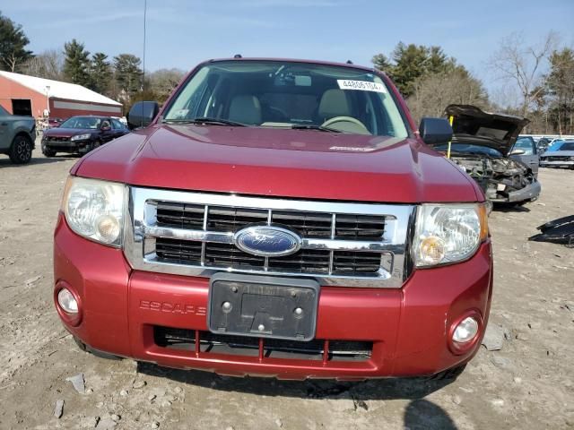 2008 Ford Escape XLT