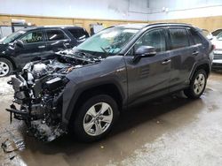 Salvage cars for sale at Kincheloe, MI auction: 2019 Toyota Rav4 XLE