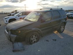 Ford Escape xlt Vehiculos salvage en venta: 2003 Ford Escape XLT