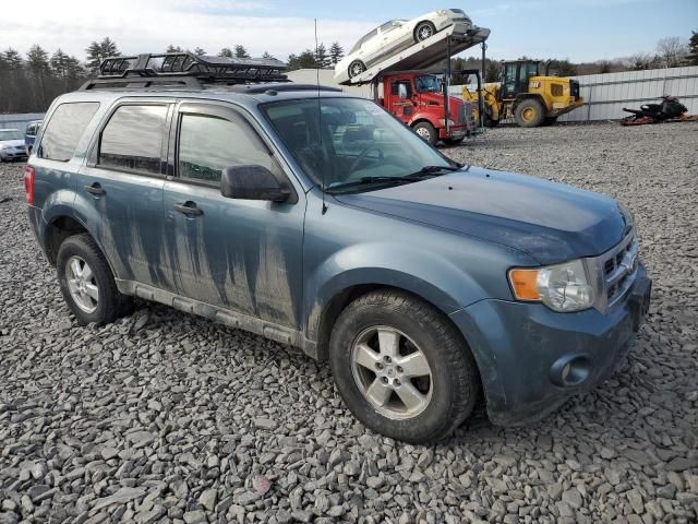 2010 Ford Escape XLT