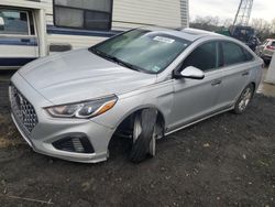 Salvage cars for sale at Windsor, NJ auction: 2019 Hyundai Sonata Limited