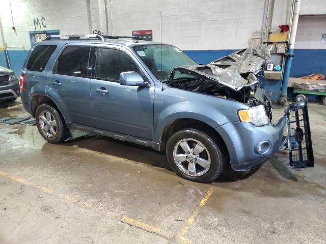 2011 Ford Escape Limited