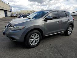 Salvage cars for sale from Copart Pasco, WA: 2014 Nissan Murano S