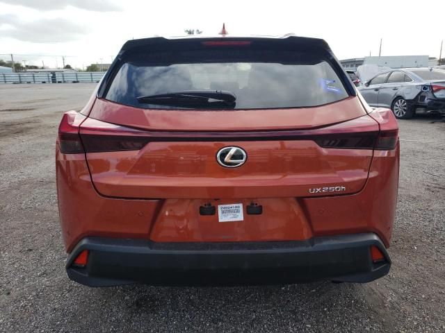 2024 Lexus UX 250H Premium