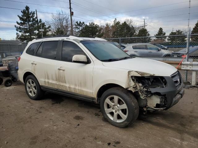 2009 Hyundai Santa FE SE