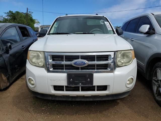 2009 Ford Escape XLT