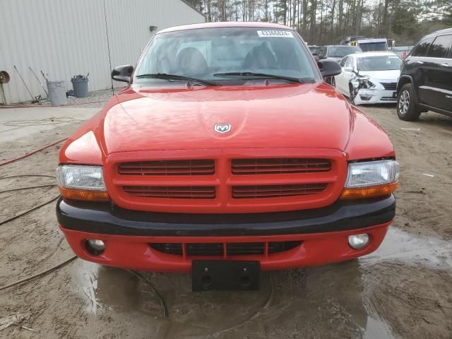 1999 Dodge Dakota