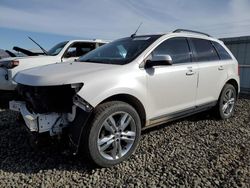 Salvage cars for sale at Reno, NV auction: 2013 Ford Edge Limited