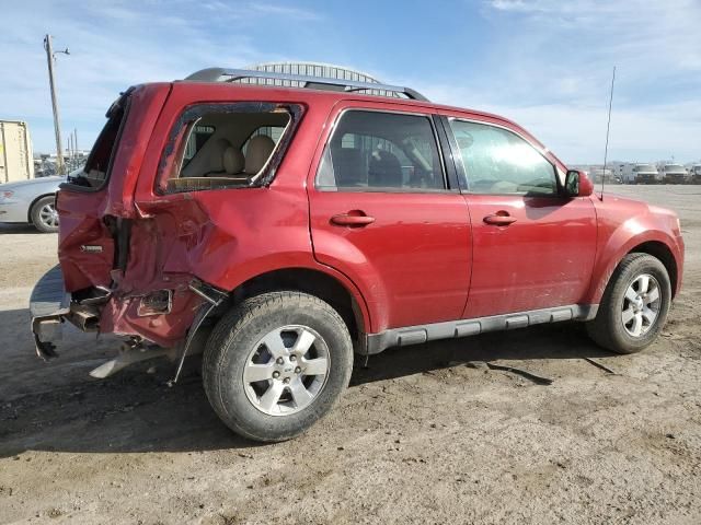 2011 Ford Escape Limited