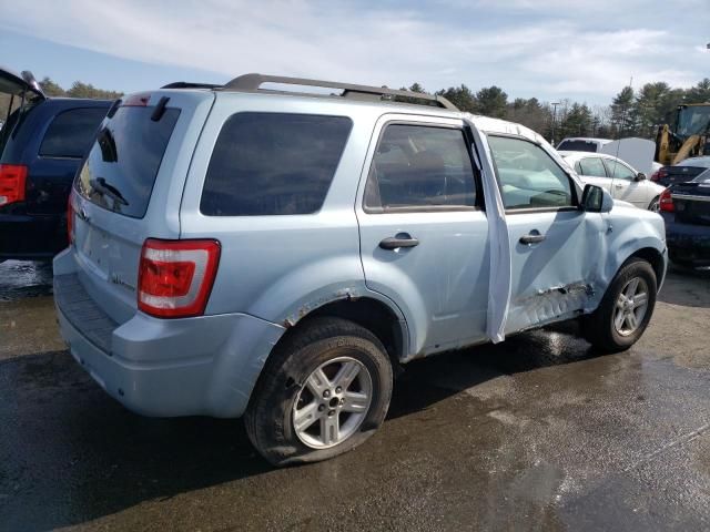 2008 Ford Escape HEV