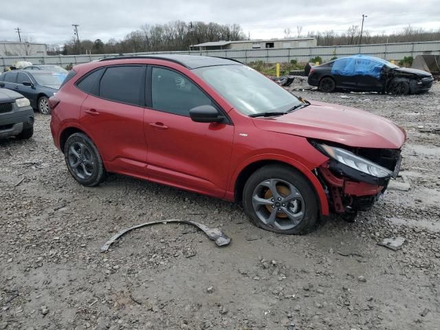 2023 Ford Escape ST Line