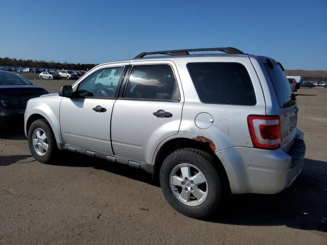 2011 Ford Escape XLS