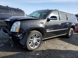 Cadillac Escalade salvage cars for sale: 2012 Cadillac Escalade ESV Platinum