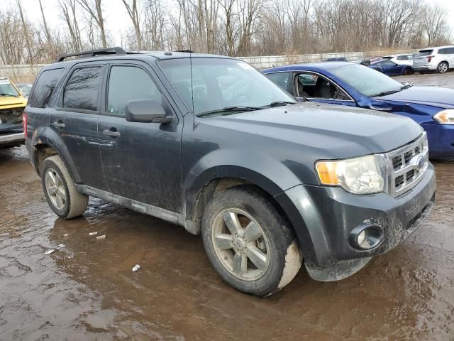 2009 Ford Escape XLT