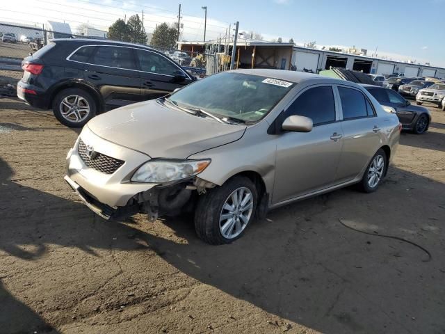 2009 Toyota Corolla Base