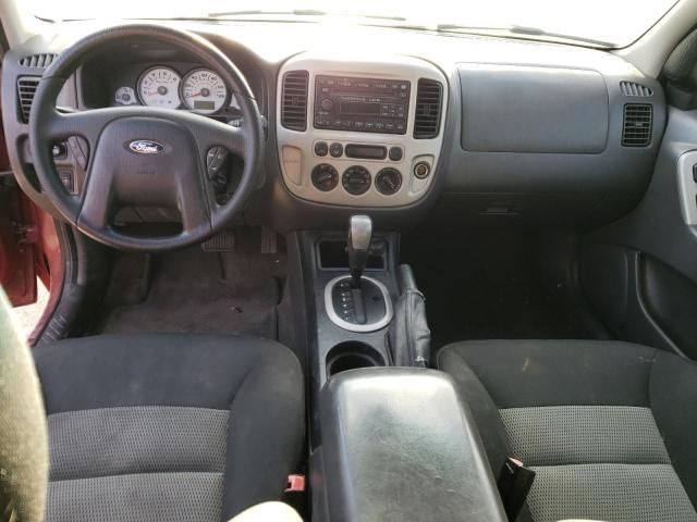 2007 Ford Escape XLT