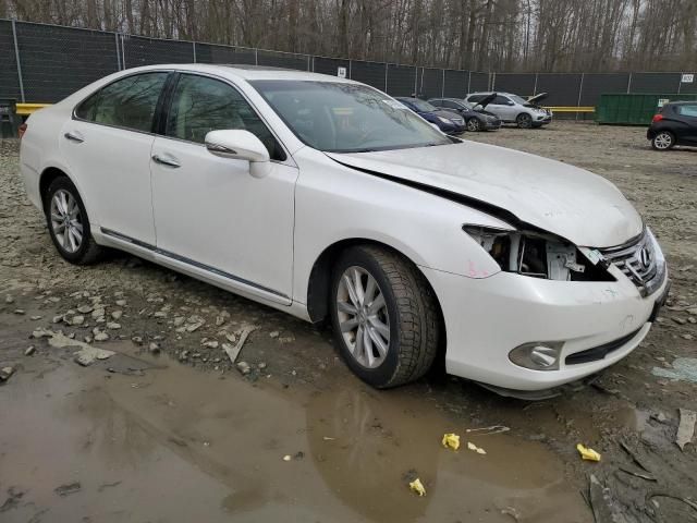 2010 Lexus ES 350